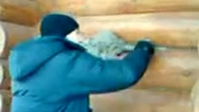 Конопатка паклей плохо рубленного сруба смотреть онлайн