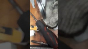 Установка механического тнвд форд фокус конект