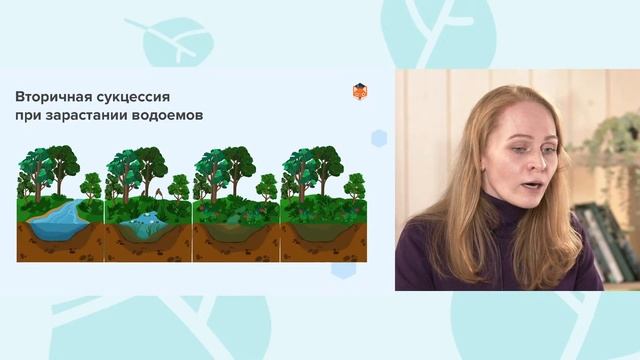 Развитие и смена экосистем. Сукцессии | Разбор заданий ЕГЭ по биологии смотреть онлайн