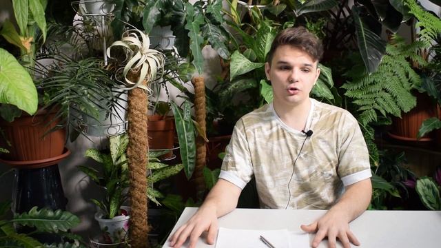 КОМПОЗИЦИЯ из Растений что это и как сделать???//Лучший Подарок на 8 МАРТА смотреть онлайн