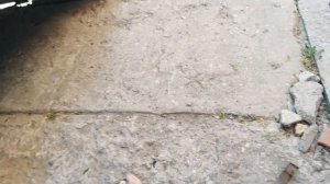 Замена хомута и фильтра тонкой очистки бензина ГАЗ 2752 Соболь