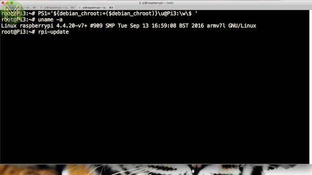 #113 Raspberry Pi Zero W: Resonating cavities // Review смотреть онлайн