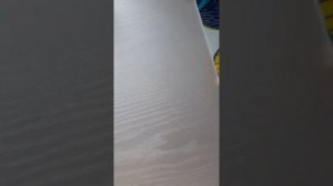 Лучшее средство для отмывания следов от шариковой ручки.