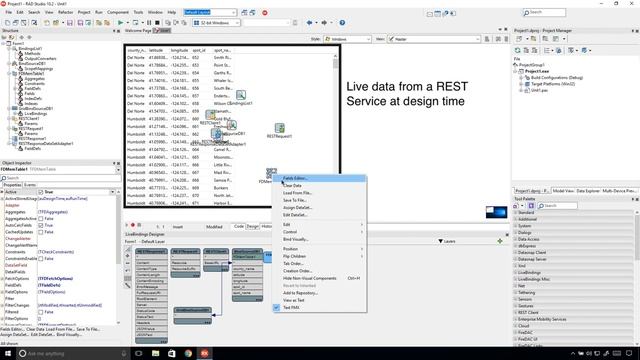 FireDAC and DB Enhancements in RAD Studio 10 2 смотреть онлайн