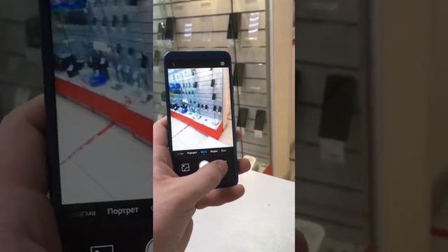 Зоология для Всех