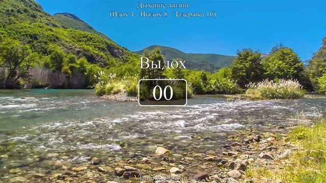 Дыхание жизни (вдох 4 - выдох 8 - задержка 16) на природе смотреть онлайн