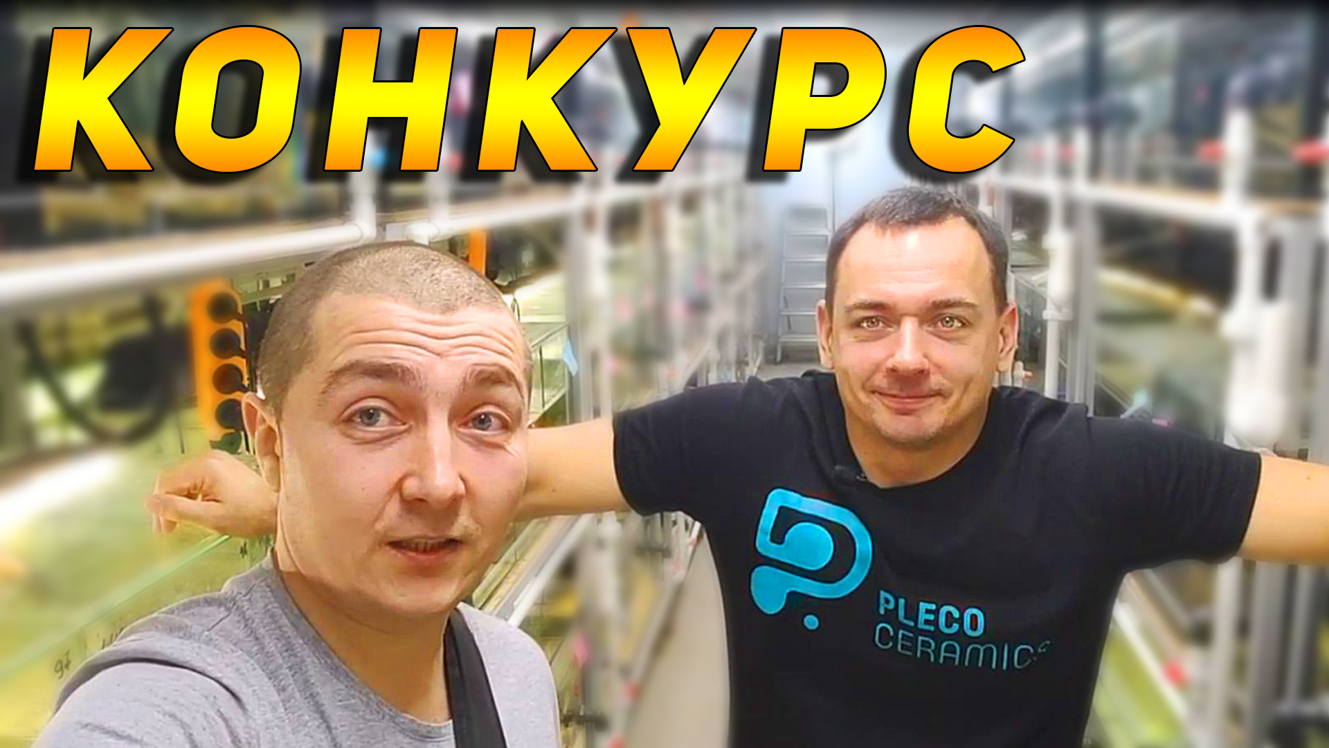 КОНКУРС! Могут участвовать аквариумисты со всего мира! смотреть онлайн