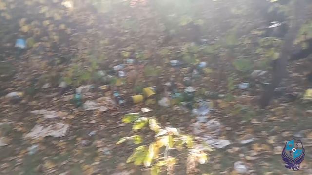 Республиканская добровольная акция "Чистый лес" (ГУО "Средняя школа №19 г.Могилева") смотреть онлайн