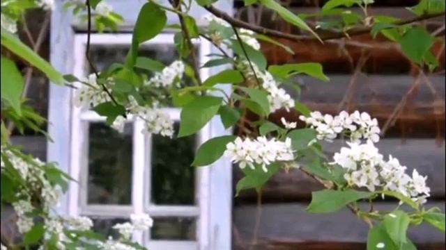 Какая же ты красивая! Стихи Миша Фреш смотреть онлайн