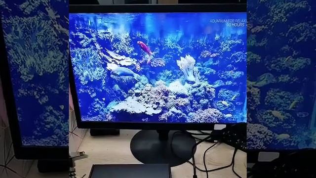 X96 MATE смотреть онлайн