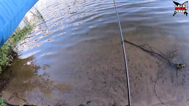 РЫБАЛКА В МОСКВЕ. ЛОВЛЯ ОКУНЯ НА СПИННИНГ. Москва-река в конце августа смотреть онлайн