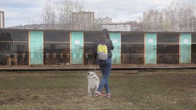 День открытых дверей 29 апреля смотреть онлайн