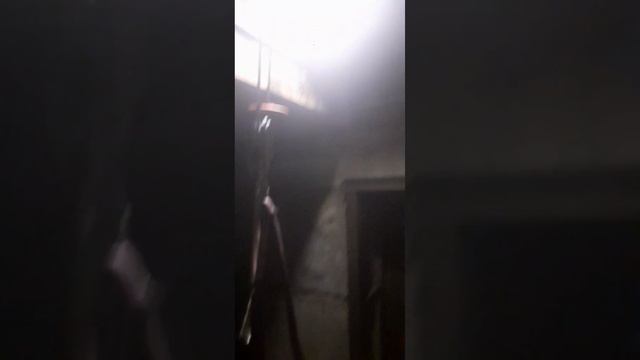 Форд Куга. Отпуск. смотреть онлайн