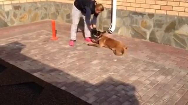 Восьмерки, кувырки