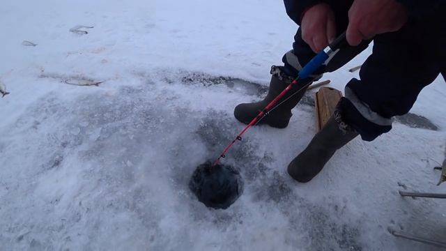 Ловля омуля на глубине 120 метров Баргузинский залив 2022 смотреть онлайн