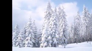 Песня: Падал снег укрывая вс'е' собой!