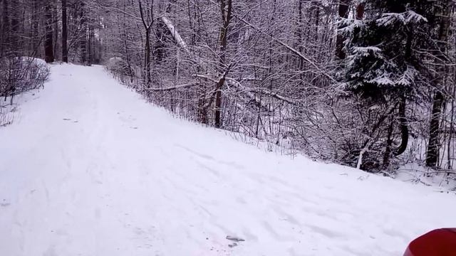 15 января 2017 г. П. Беличье Приозерский р-н,15,5соток смотреть онлайн