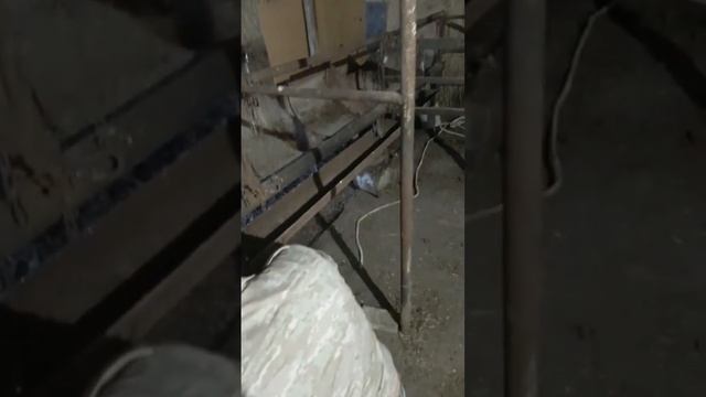 Удобная поилка для быков на откорме смотреть онлайн