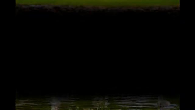 История из жизни: Не могу себе простить, что обидел любимого человека