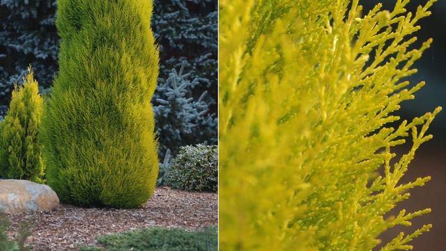 Rita's Winter Planters | Pond House Garden смотреть онлайн