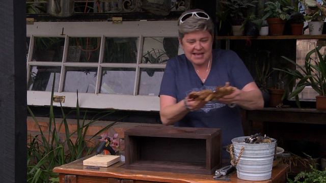 DIY Forest Planter Box смотреть онлайн