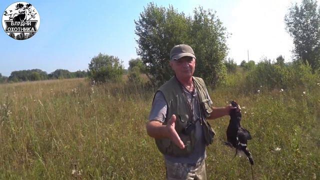 Охота на кабана. Охота на тетерева. Охота на вяхиря. Лоси выходили в каждую охоту! смотреть онлайн