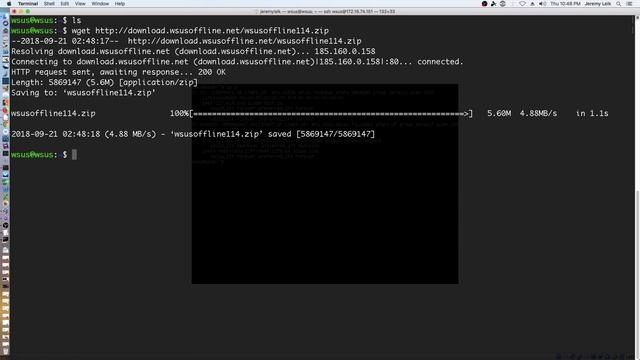 WSUS Offline Update install on Ubuntu Server 18.04 смотреть онлайн