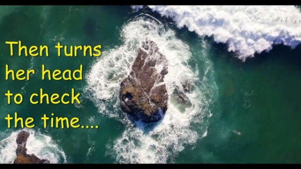 Seems Like Yesterday by Kenyon Mills