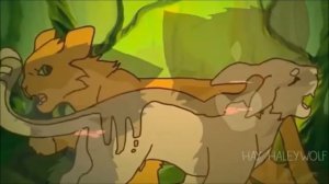 коты воители на встречу ветру Огнезвёзд и Песчаная Буря