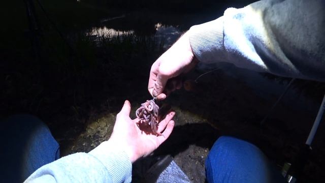 Кормится ли сом в холодную ночь на мелководье? Рыбалка на сома смотреть онлайн