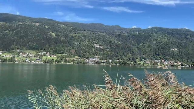 КОШАЧЬИ БУДНИ: горное озеро, красивые лебеди и парад мотоциклистов на Harley-Davidson смотреть онлайн