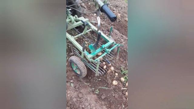 картофелекопалка для мотоблока. смотреть онлайн