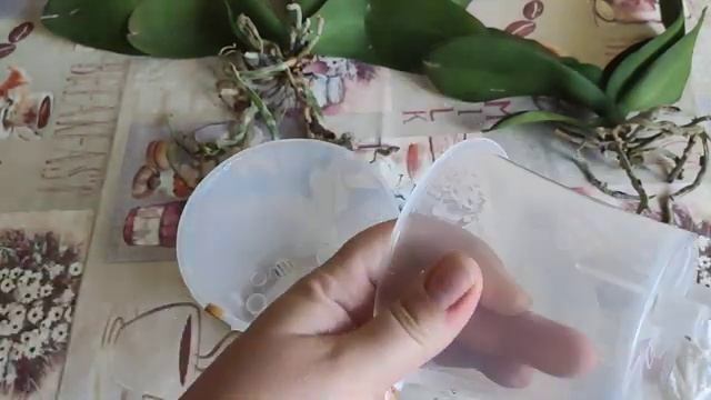 #Орхидеи Посадка на фитиль. Живой мох! Какой же он  разный!