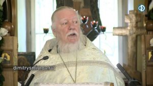 Протоиерей Димитрий Смирнов. Проповедь о неизреченной радости