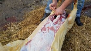 Разделка свиньи 2020