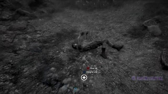 Far Cry  5 Friendly Fire  CO OP Game Play Compilation