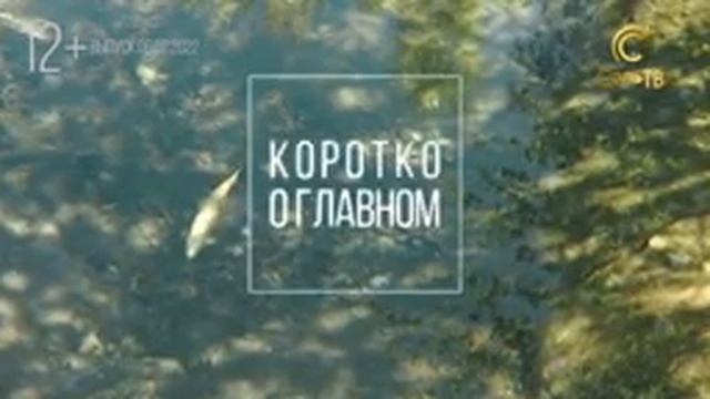 Новости Соликамска в вашем телефоне смотреть онлайн