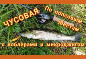 Саженский мост. Рыбалка на воблеры и микроджиг