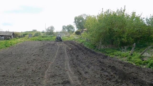 Культивирую огород после ВСПАШКИ! Cultivating a vegetable garden with a tractor MTZ-80 смотреть онлайн