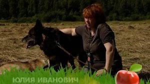 Русский Вольфхунд