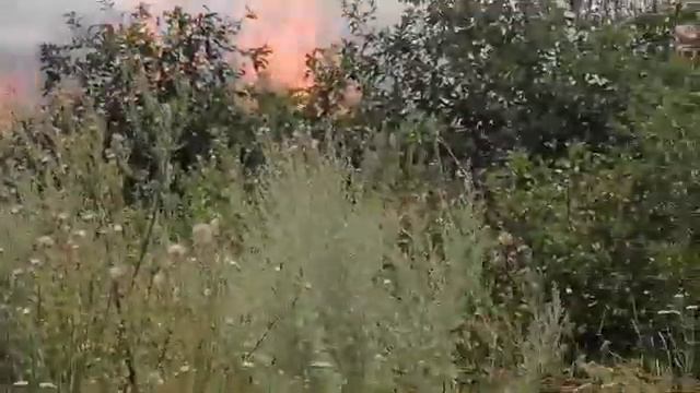 Пожар стерня под Мелитополем смотреть онлайн