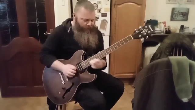 Ibanez Artcore AS-53 TF смотреть онлайн
