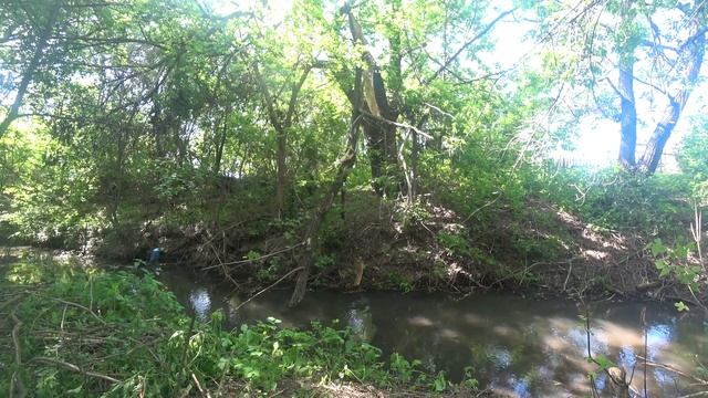 Очистка речки, впервые за 30 лет. Cleaning the riverbed, for the first time in 30 years. р. Кока смотреть онлайн