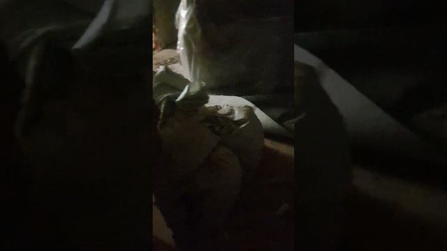 2 день капитального ремонта смотреть онлайн