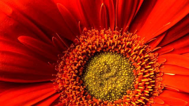 Новая русская песня и видео в хорошем качестве смотреть онлайн