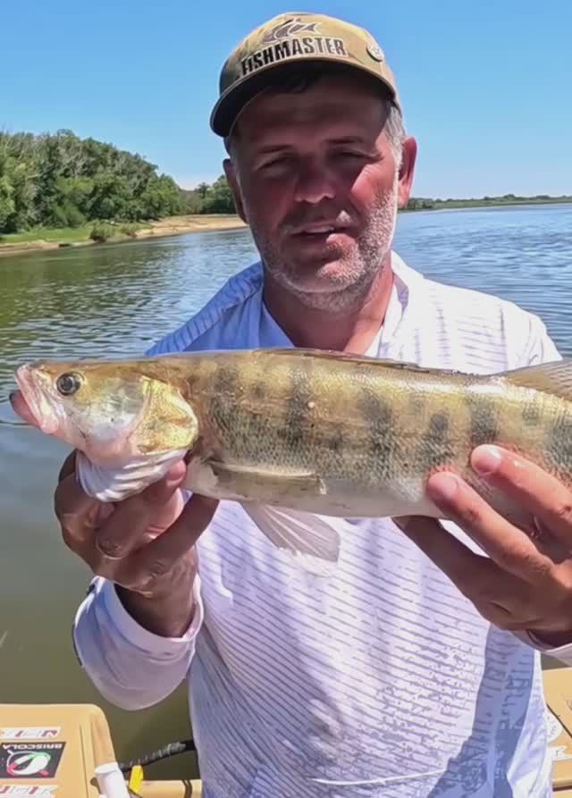 На рыбалку сам зовет. Обещает море рыбы смотреть онлайн