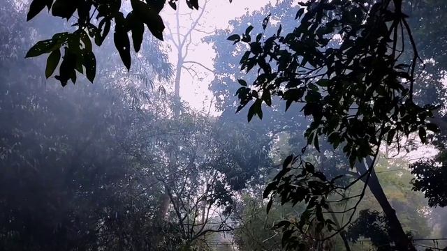 Cinematic Video Shoot By Smartphone | One Plus 6 смотреть онлайн