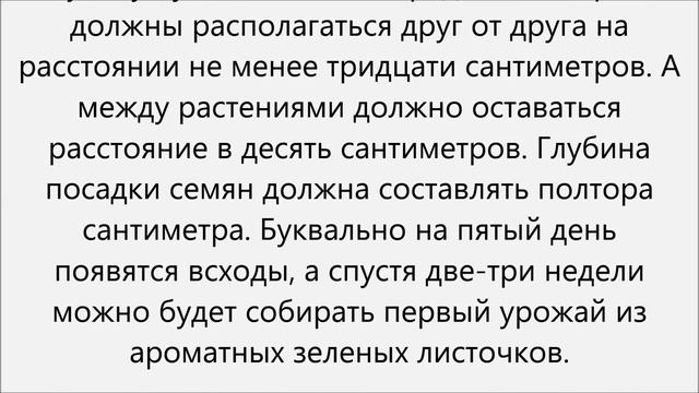 Как вырастить руколу смотреть онлайн