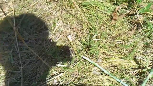 19 как сделать Воздушного змея своими руками - how to make a kite with his own hands смотреть онлайн