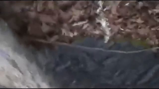 MarbleHornets (Мраморные Шершни)  1-30 серию